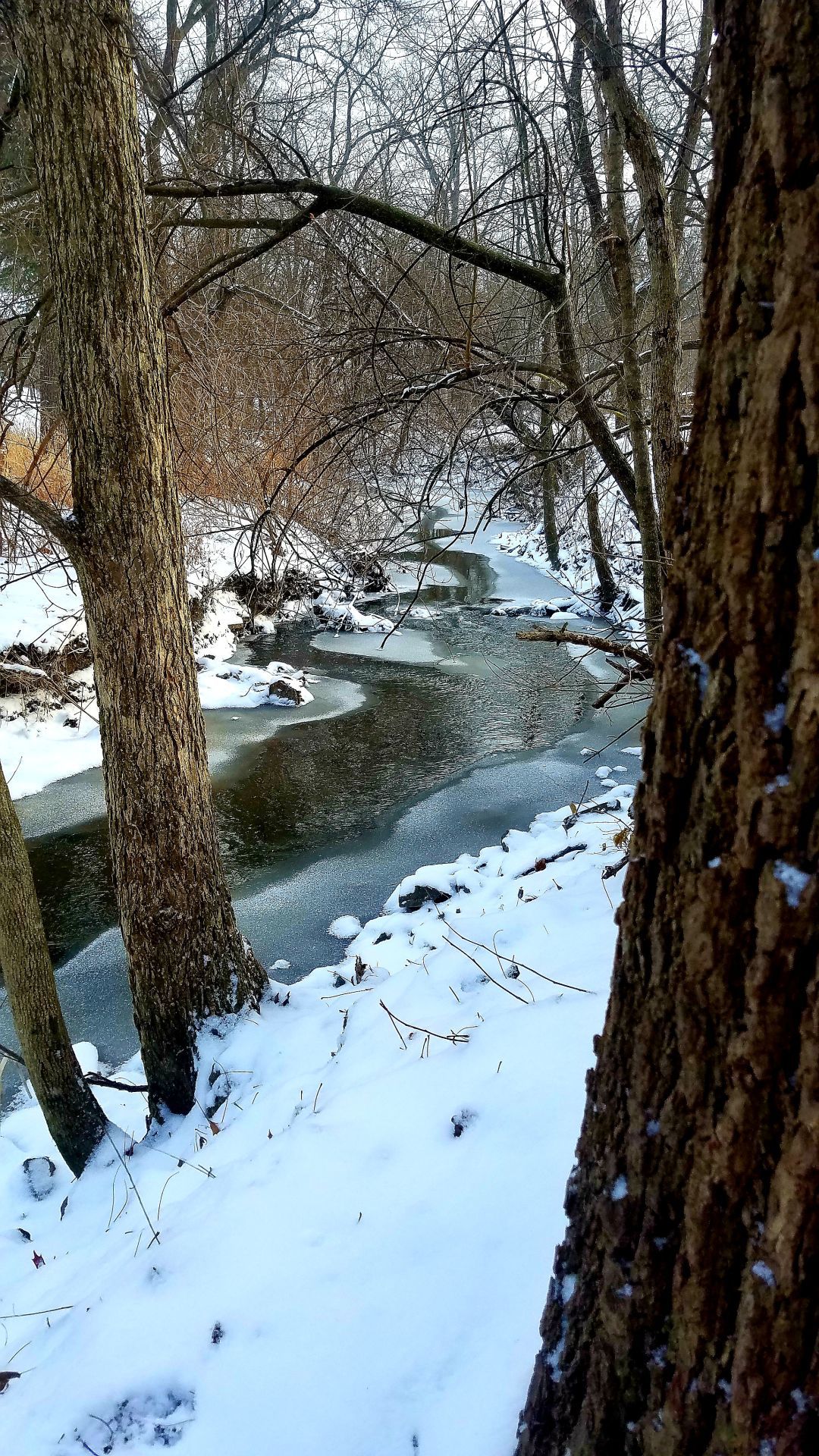 Winter in NWI
